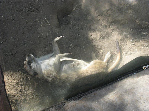 l3819061249_ea6946119c