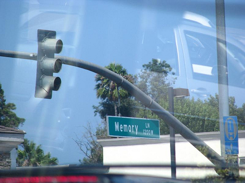 m3819057389_4cf0c8112b